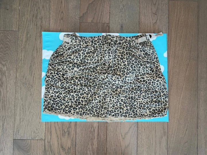 Cheetah Print Skirt