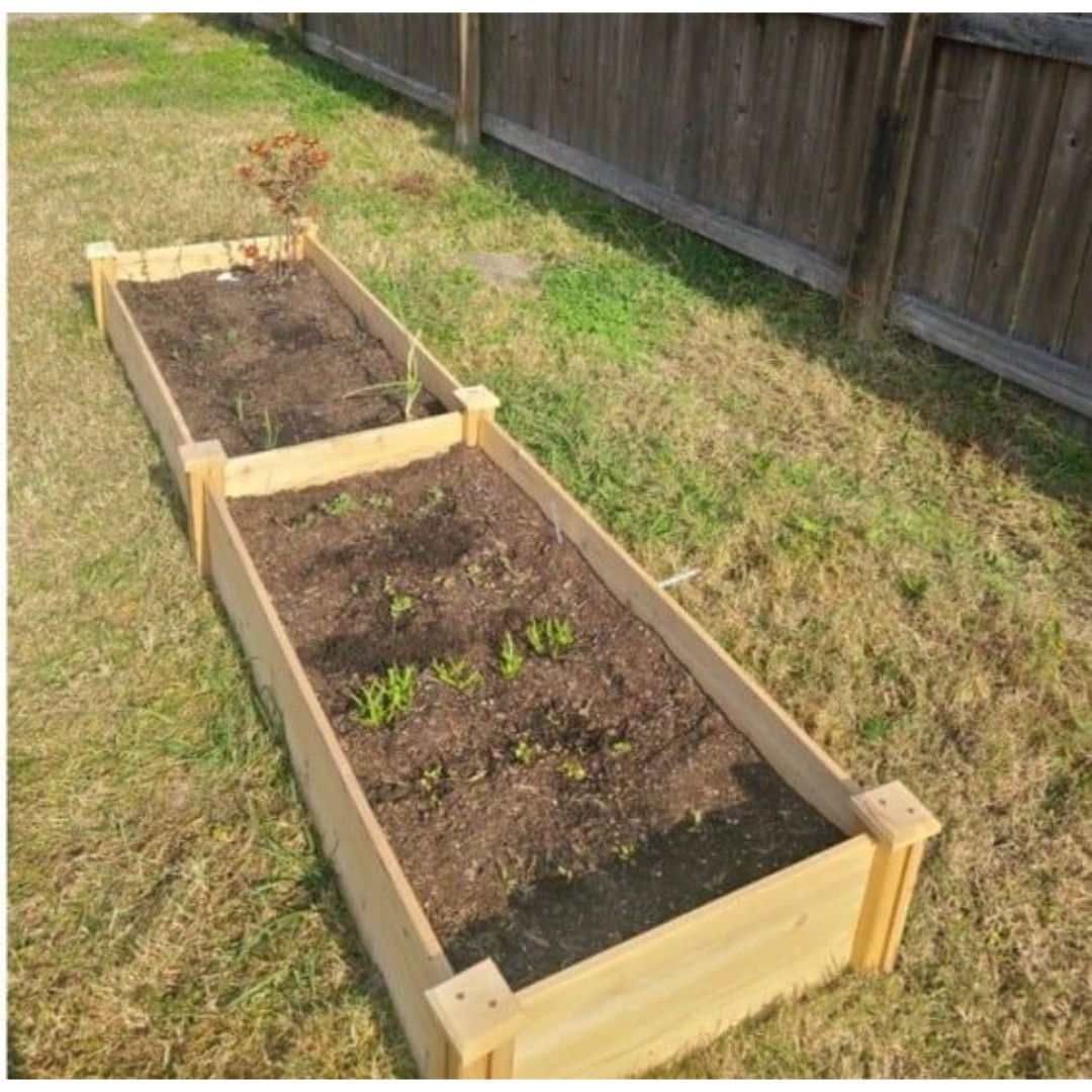 Wood Raised Garden Bed Planter Greenhouse Gardening Flower Box 8 Ft