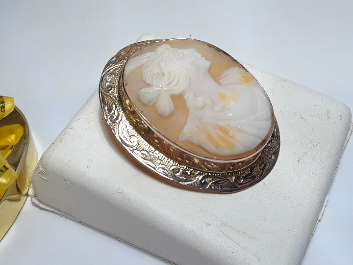 Antique Victorian Cameo 10Kt YG Pin14226
