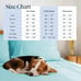 4 PC Twin XL Sheet Bed Sheets Deep Pockets 18 Eco Friendly Wrinkle Free