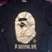 Bape Crewneck