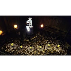 6 Pack Solar Lights Outdoor Garden Decorative Solar Garden Lights Warm Light