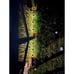 6 Pack Solar Lights Outdoor Garden Decorative Solar Garden Lights Warm Light