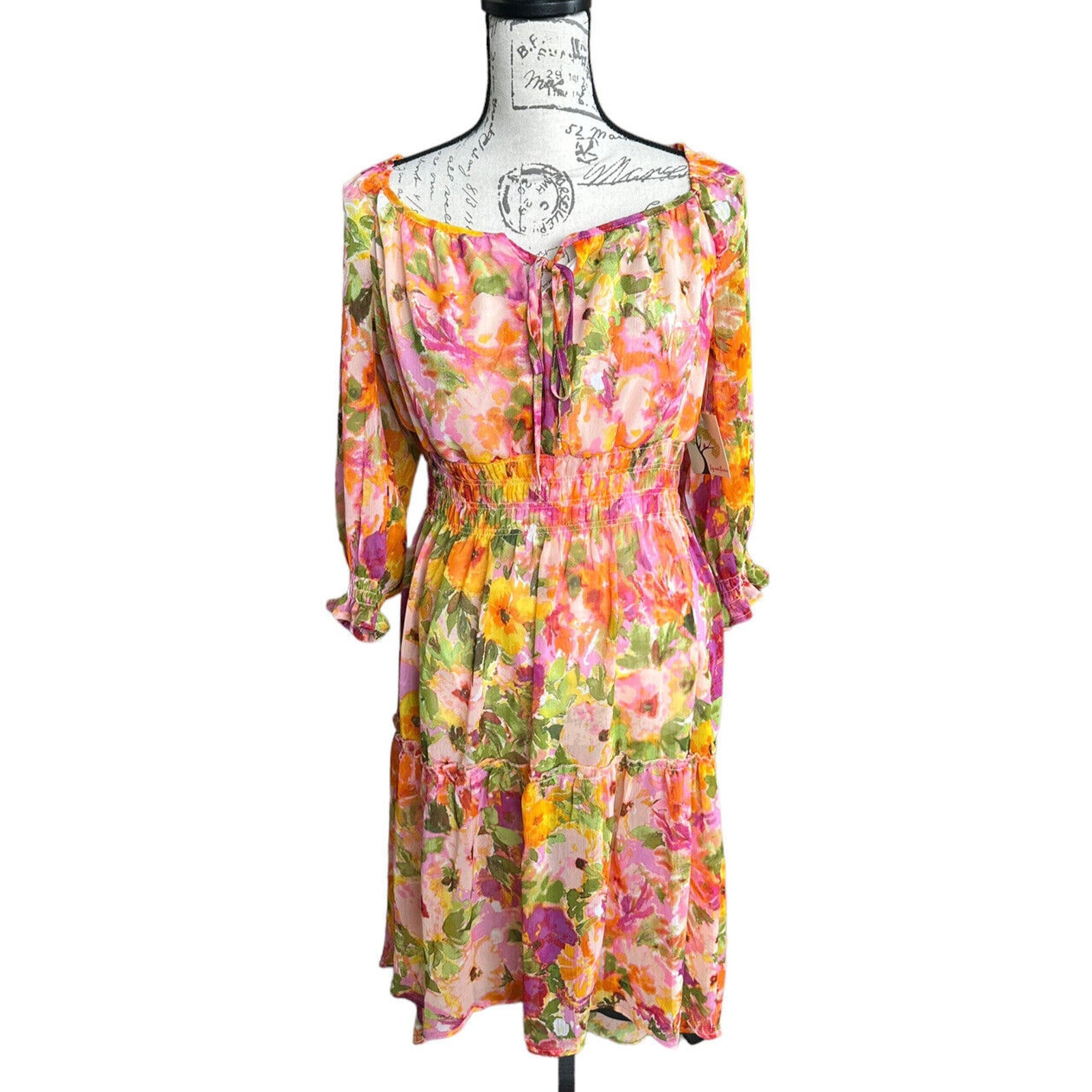 New Anthropologie Fig & Flower Floral Boho Hi Lo Chiffon LS Dress Lined Large