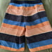 Patagonia Boy Swim Trunks