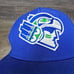 Vintage Seattle Seahawks Snapback Blue Green White Casual 12 Baseball Cap NFL