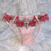 Rare Rose Crystal Bikini Panty Mesh Lace Floral Small