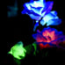 Solar Garden Lights - Newest Version Solar Lights Outdoor, 7-Color Change