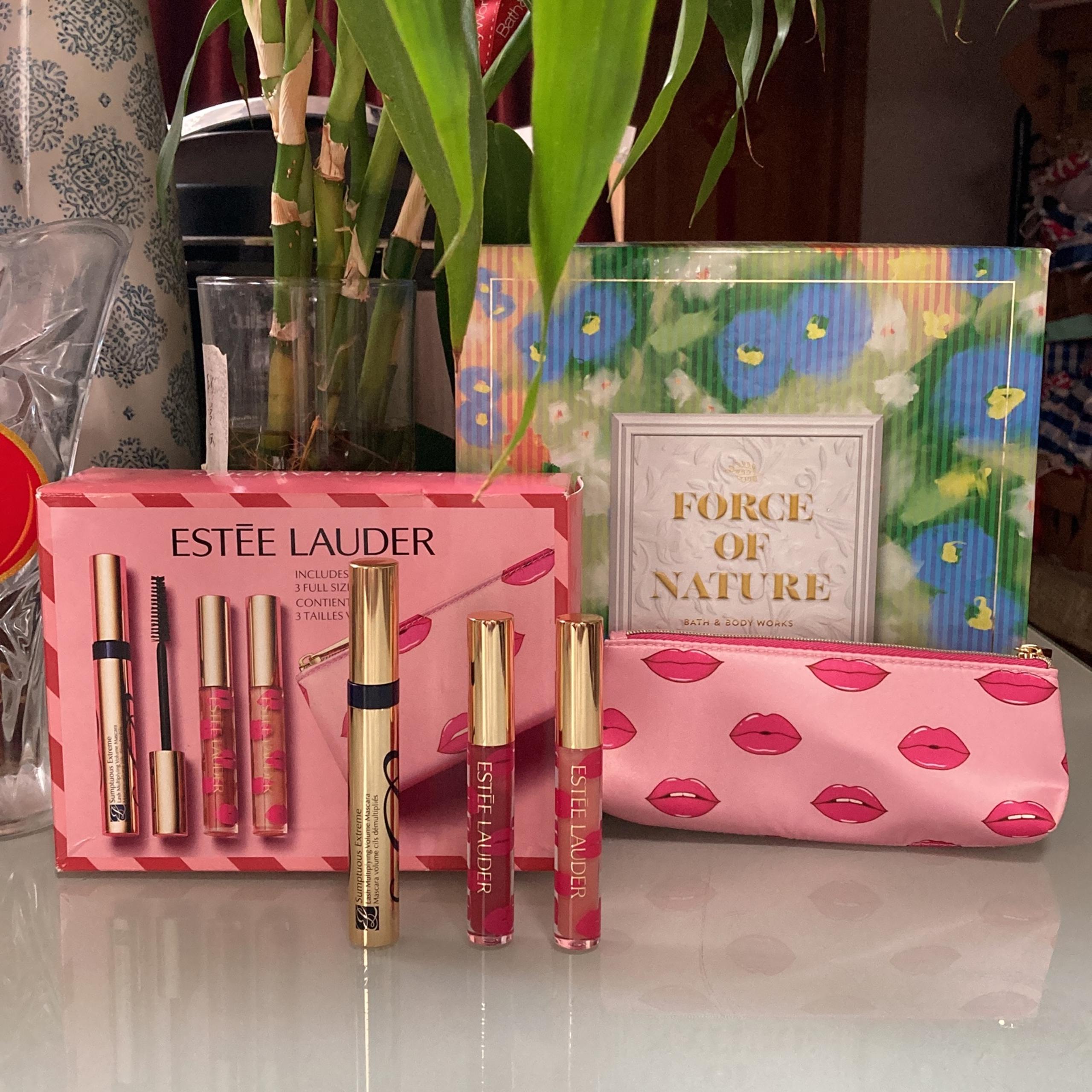 Estée Lauder 3 pcs Full Size lipstick & Lash Mascara makeup Set