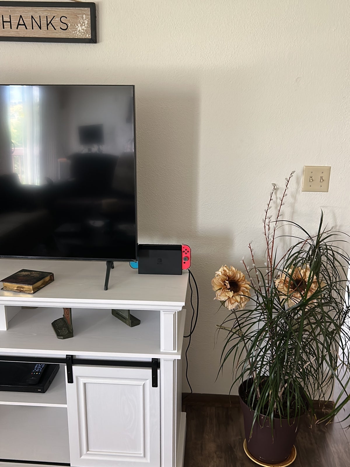 Nintendo switch oled console