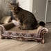 Sofa Shaped Cat Scratching Couch,,Cat Lounge 23 L X 12.2 W X 10.6 H