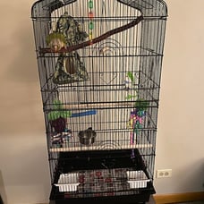 41-inch Open Top Medium Bird Cages for Parakeets Finches Canaries Lovebirds Smal