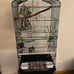 41-inch Open Top Medium Bird Cages for Parakeets Finches Canaries Lovebirds Smal