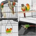 41-inch Open Top Medium Bird Cages for Parakeets Finches Canaries Lovebirds Smal
