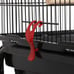 41-inch Open Top Medium Bird Cages for Parakeets Finches Canaries Lovebirds Smal