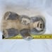 Steiff Molly Grey Koala Sitting Plush 9 ID Button Tag Vintage Toy Small Animal