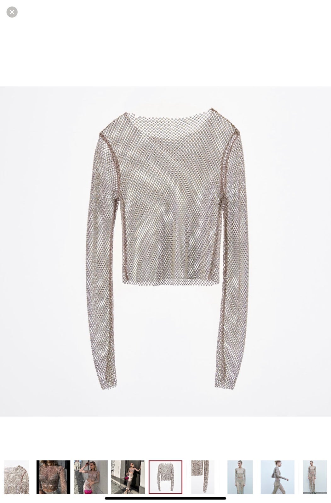 Zara SHIMMER MESH CROP TOP