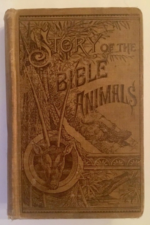 Rare Vintage 1888 HC Story of the Bible