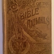 Rare Vintage 1888 HC Story of the Bible