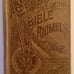 Rare Vintage 1888 HC Story of the Bible