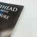 Buell Lee Whitehead: Printmaker, Lithographer, Artist Paperback By Ronald Newsom