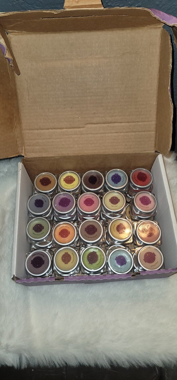 Scentsy Box Sampler With 60 Wax Samples