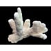 ToyCats PawCoral figure 5 - 7 ocean decor beach theme nautical wedding