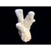 ToyCats PawCoral figure 5 - 7 ocean decor beach theme nautical wedding
