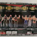 WWE Jakks World Heavyweight Belt & Hogan