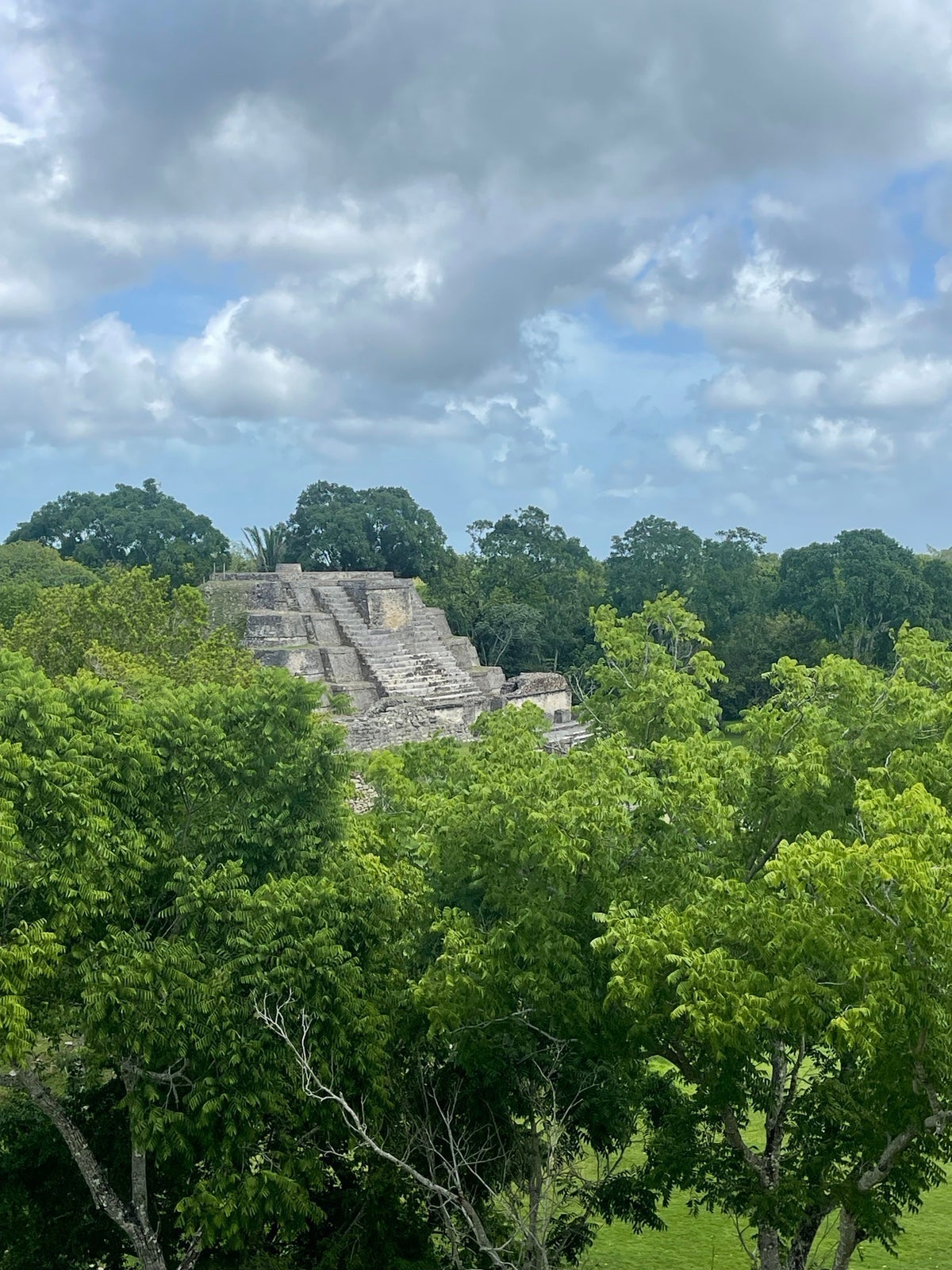 Lime Stone From Wall Velice Maya Temple (sun god pyramid)