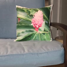 Hot Pink Ginger Pillow Cover