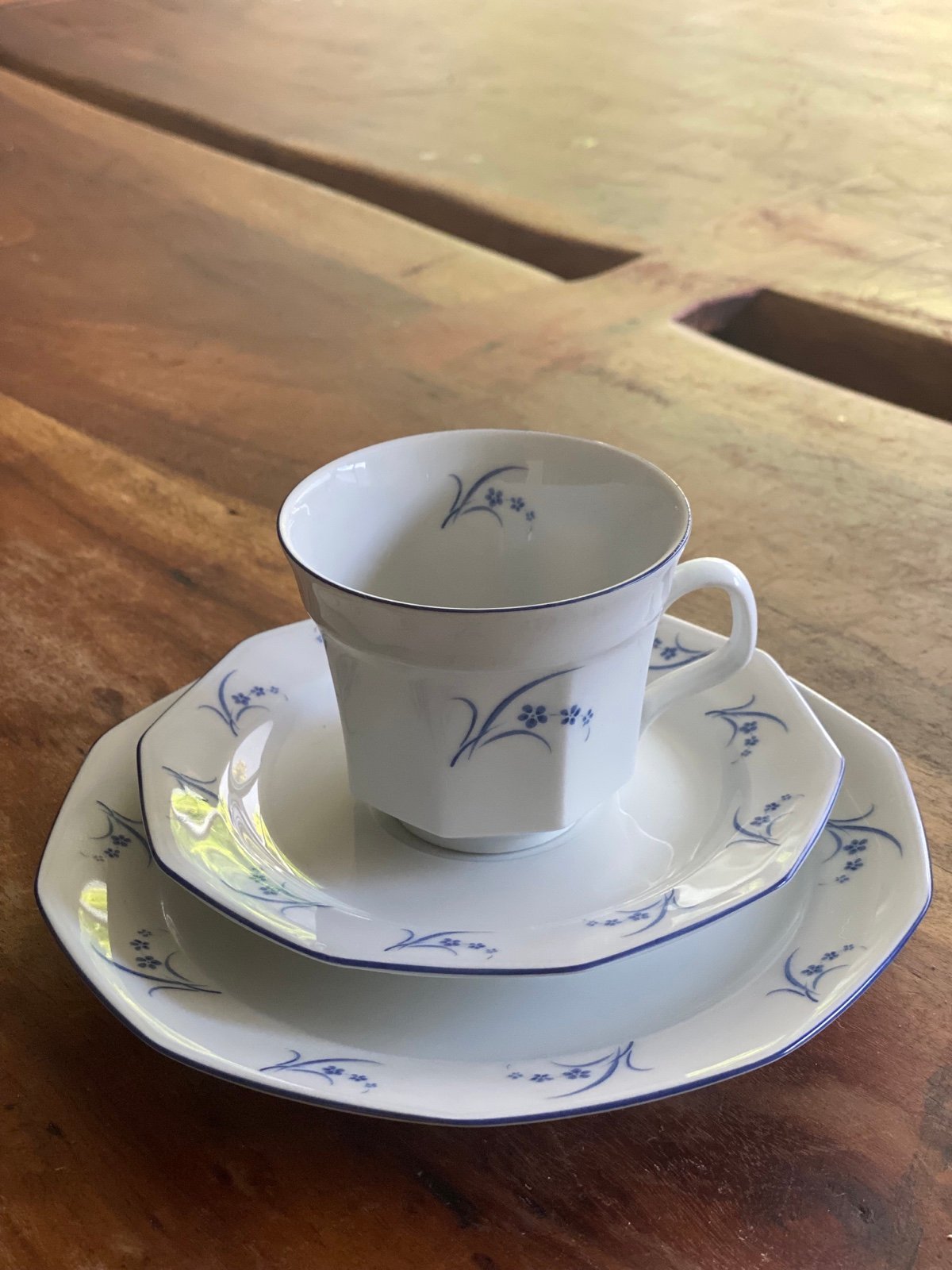 WINTERLING SWEDISH COFFEE SET Teacup, Saucer & Dessert plate