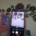 PHONECASE+MASK. NL Signature Print Phone Case with matching print face mask.