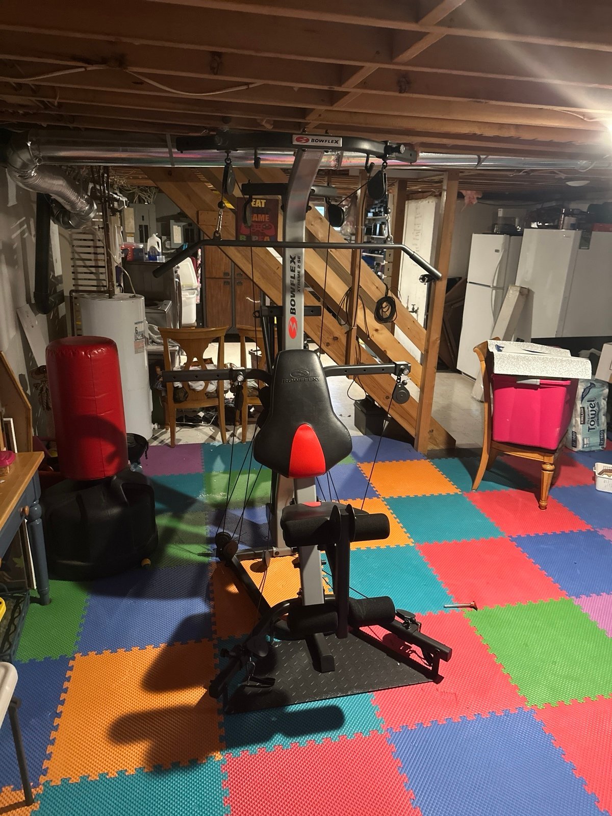 Bowflex Xtreme 2