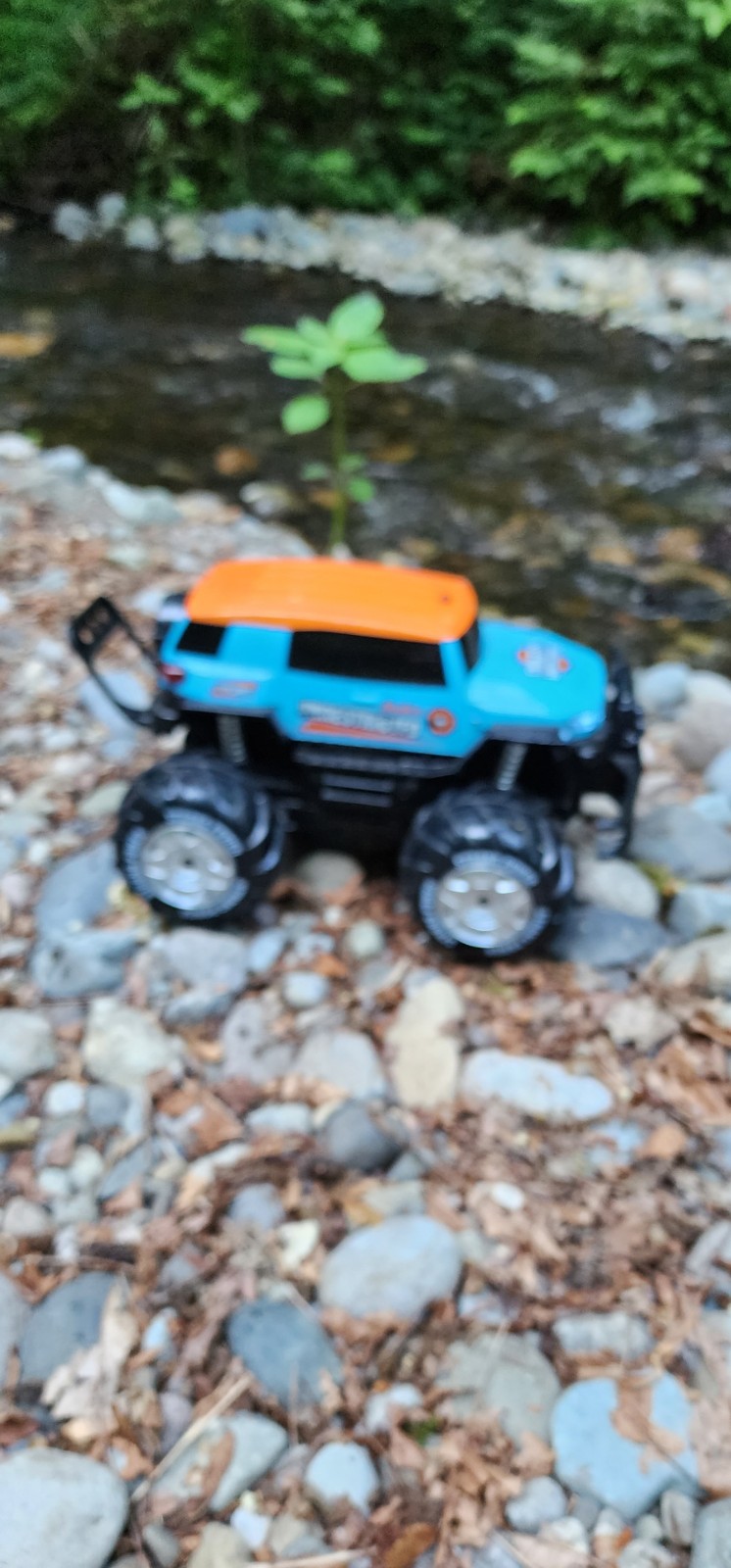 Monster Truck rc