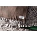 Anthropologie House of Hackney Zebra Printed Quilt Queen Sham Set NEW