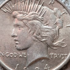 1924 P Silver Peace Dollar Toned Reverse #1567
