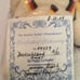 Deutschland Graded mint Beanie Baby