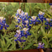 Canvas wall art - ORIGINAL WORK