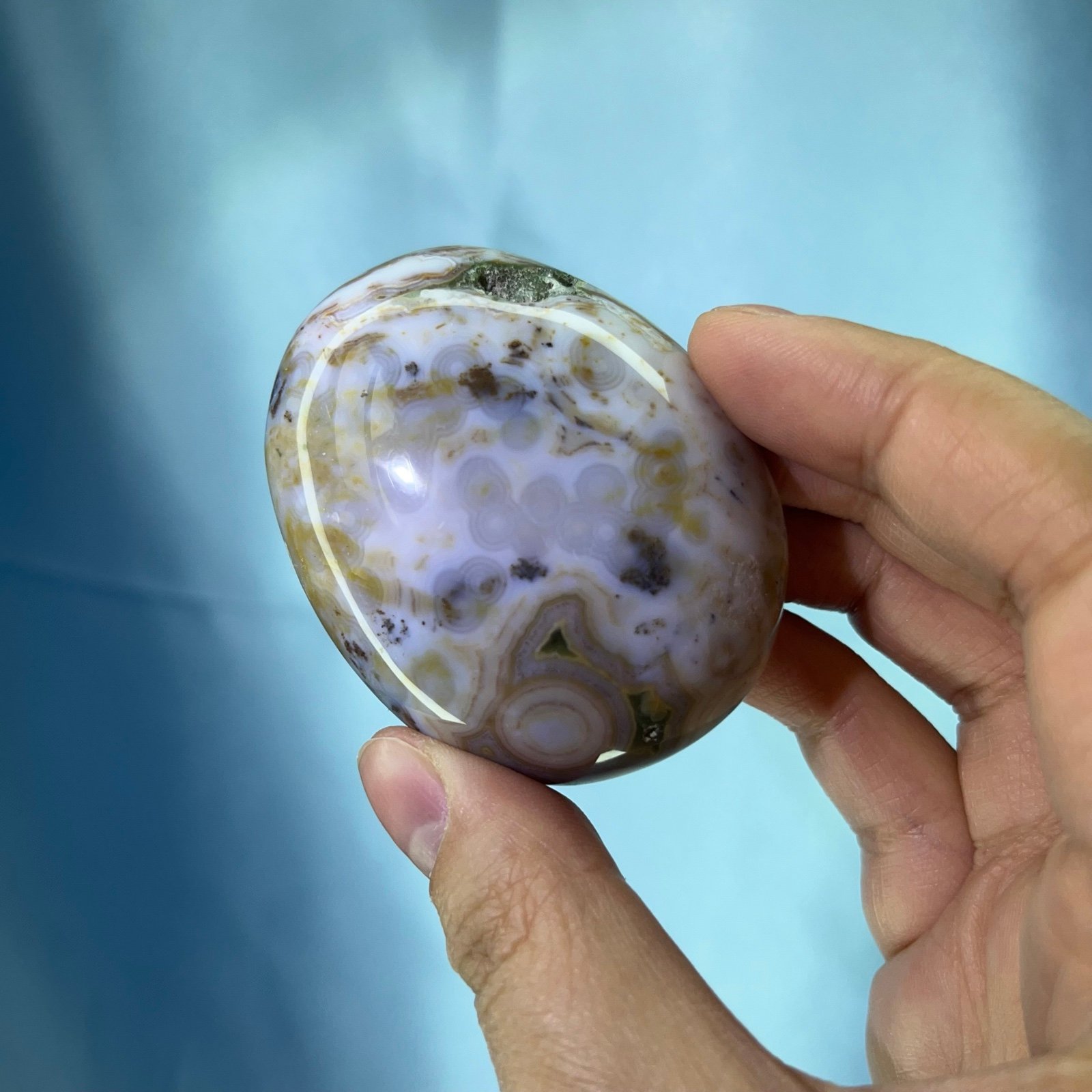 8th vein ocean jasper palm