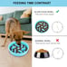 Slow Feeder Dog Bowls 3 in 1 Stainless Steel Food and Water Bowls.