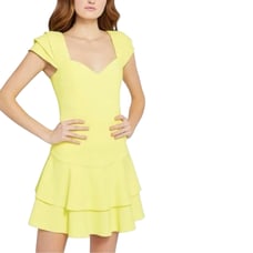 NWT Alice + Olivia Brinda Double Ruffle Dress