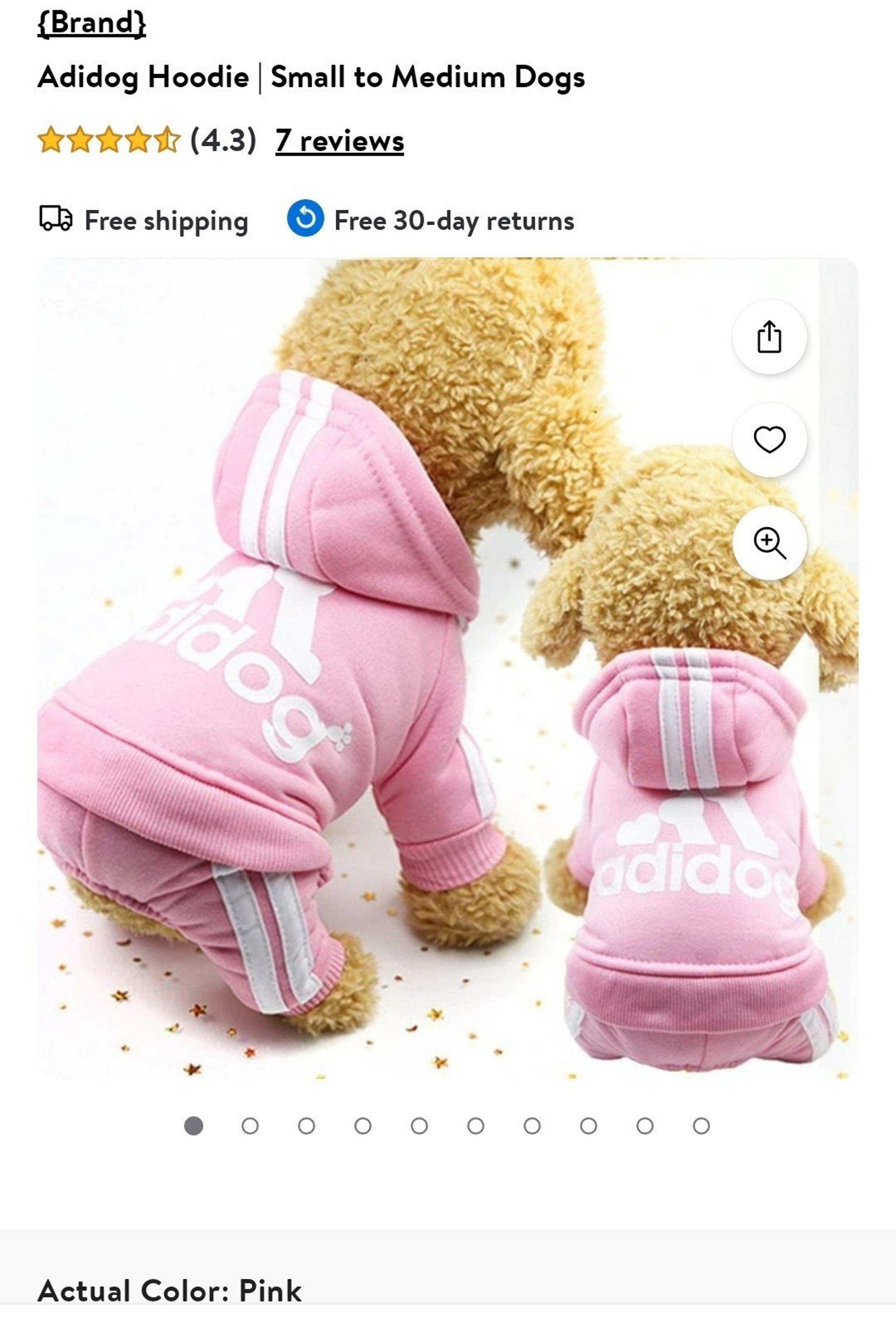 Adidog outfit
