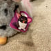 1998 Gen 1 Furby Model 70-800 Grey and Pink