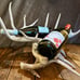 Real Antler 2 Wine Bottle and Glass Rack