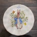 Peter Rabbit Beatrix Potter Set of 4 Salad Plates Scalloped Gold Easter 8