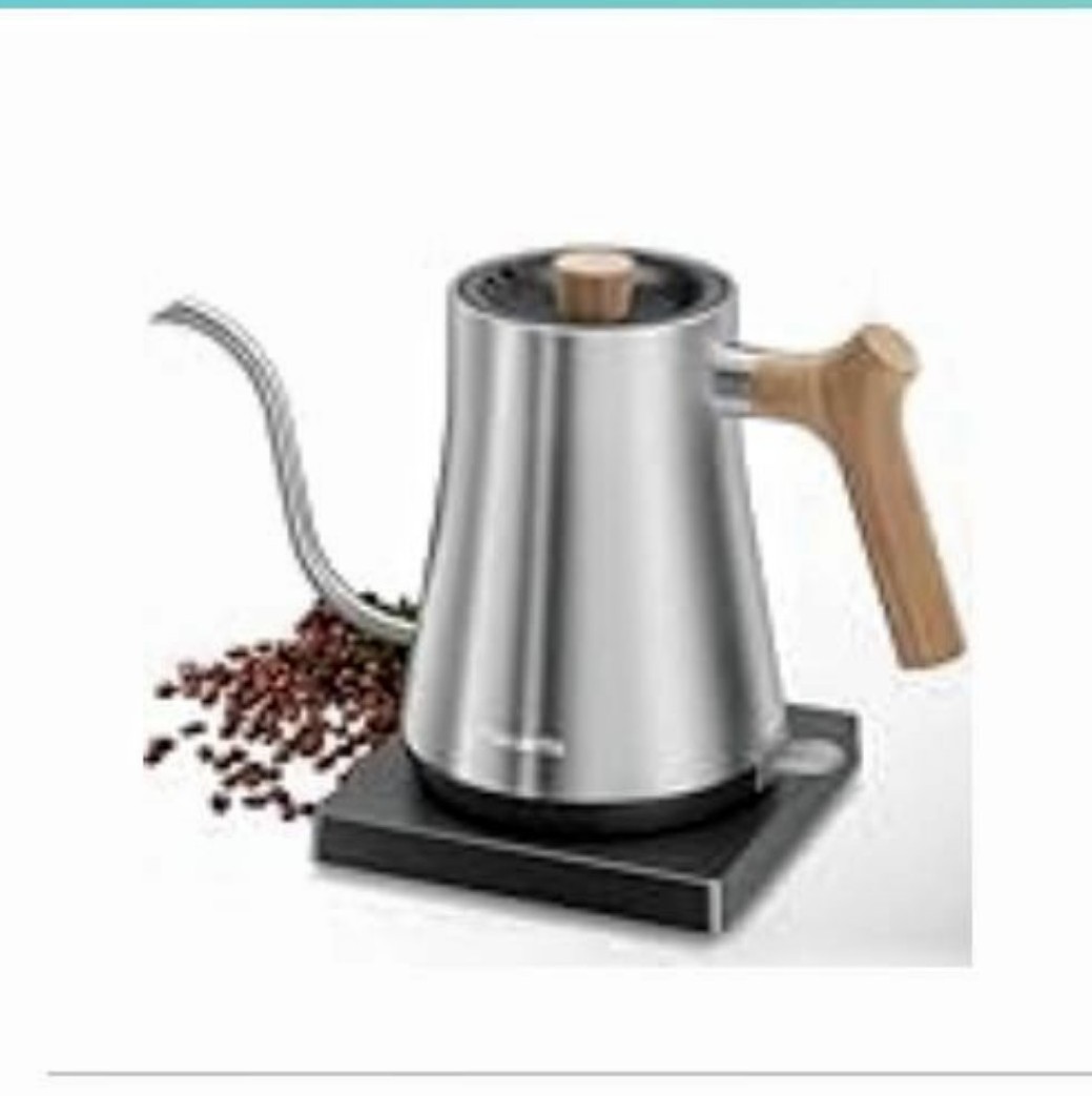 Fabuletta electric gooseneck water kettle