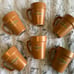 WDW Epcot International Flower & Garden Festival 2022 * Orangebird Mugs S/6