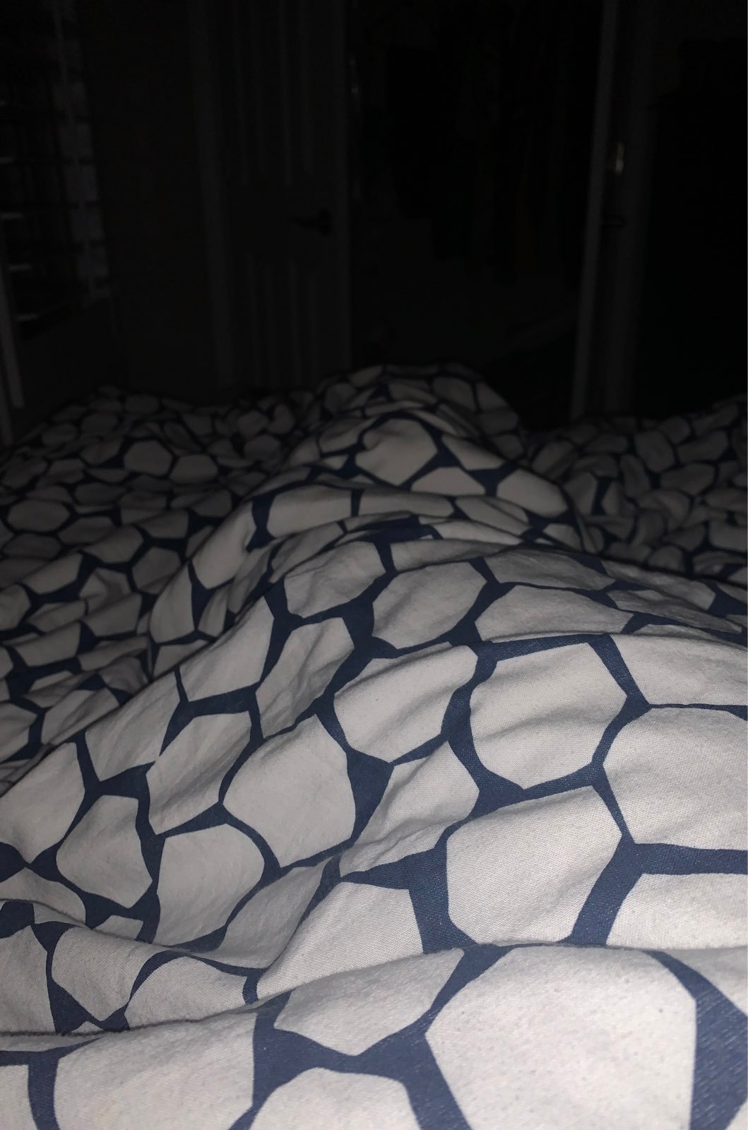 sheet