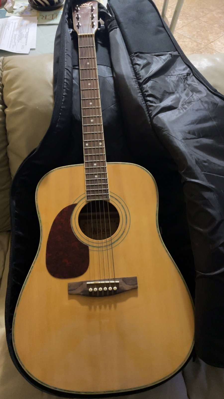 Guitar
